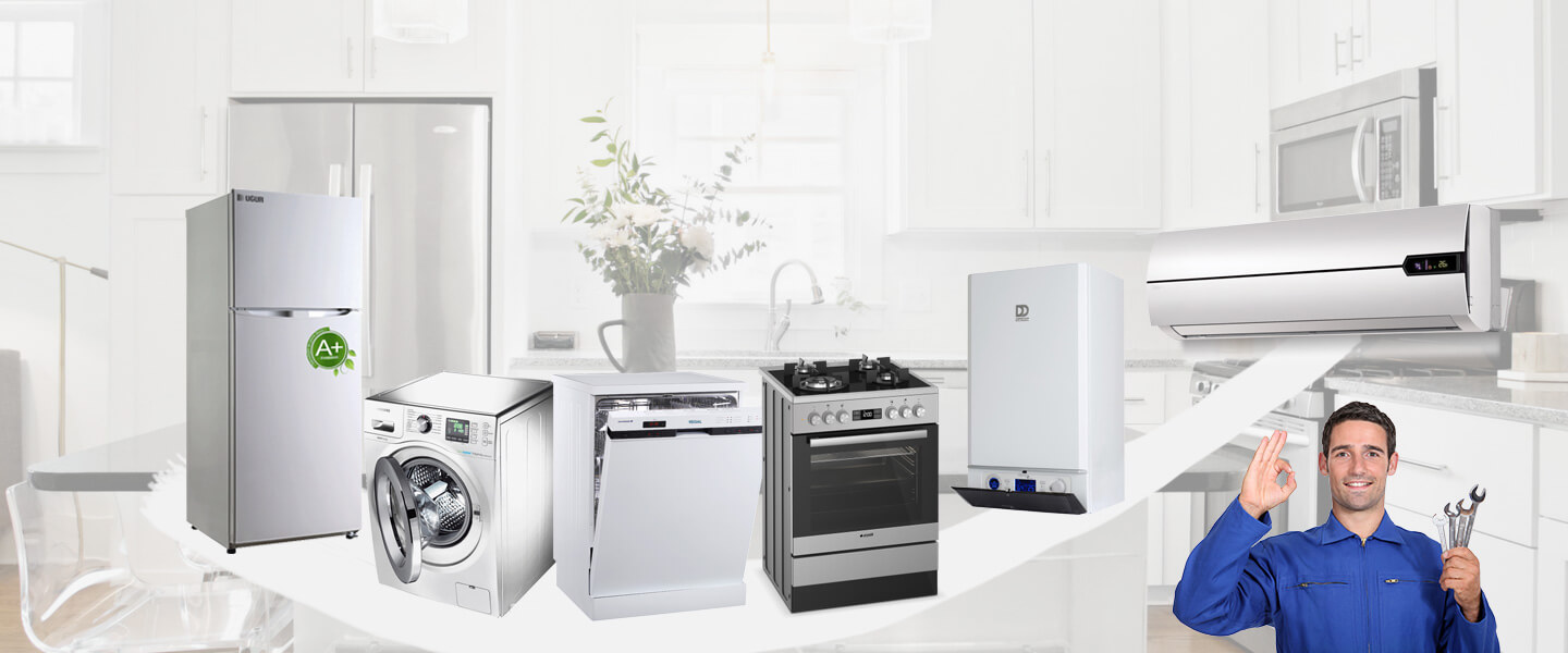 Ayvalık Daikin Servisi